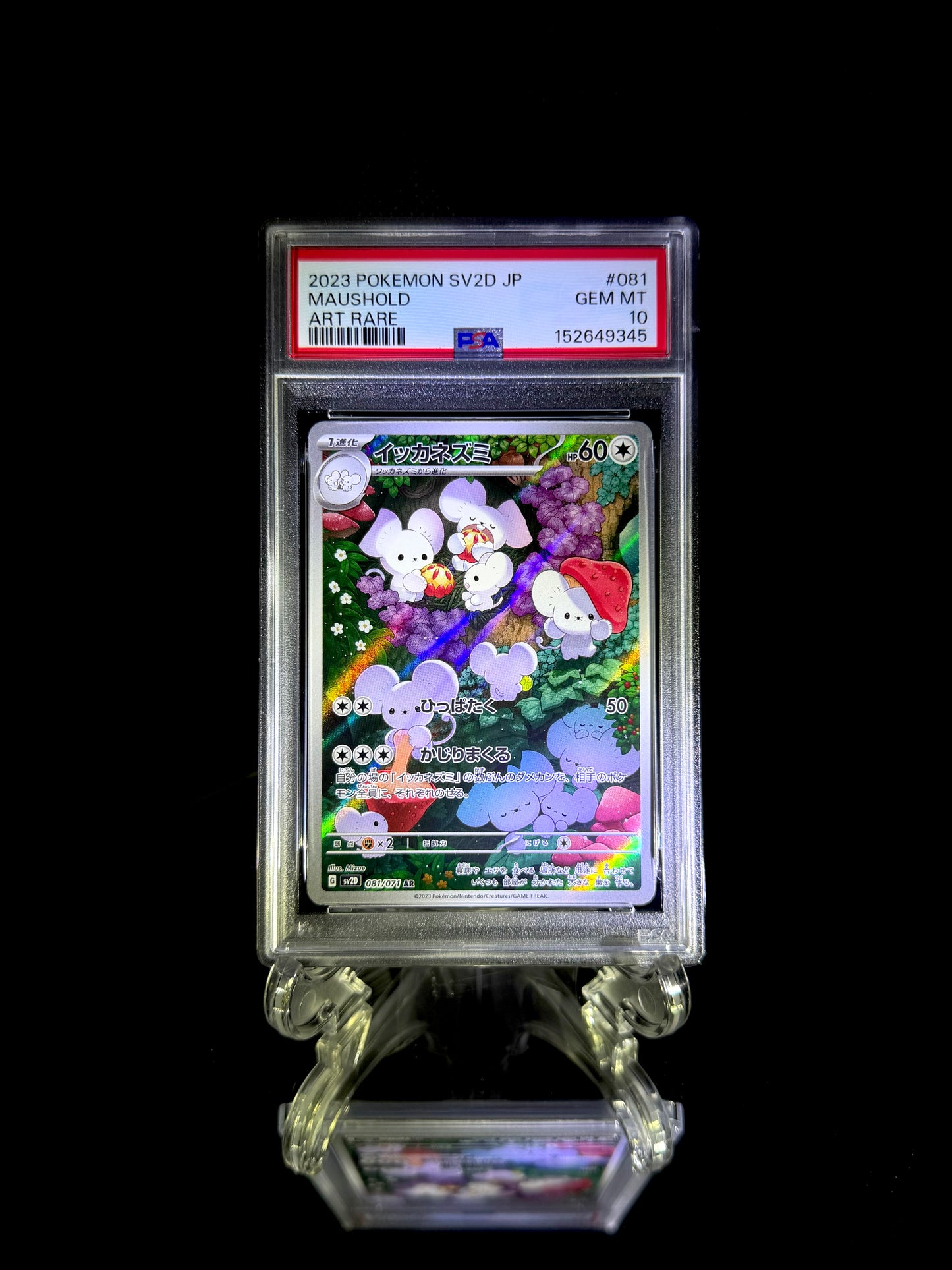 Maushold / 2023 POKEMON SV2D JP / #081 / ART RARE / PSA 10 / Cert 152649345