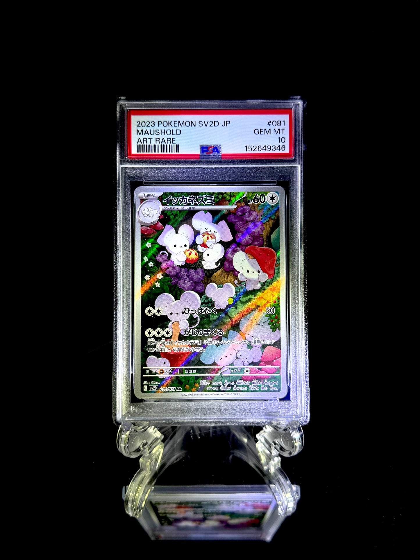 Maushold / 2023 POKEMON SV2D JP / #081 / ART RARE / PSA 10 / Cert 152649346